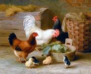 unknow artist Cocks 140 oil painting on canvas
